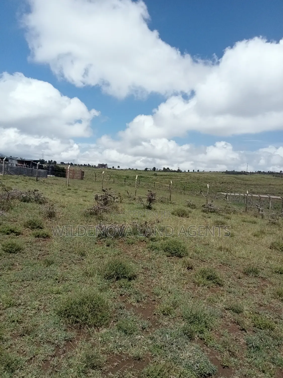 Longonot Naivasha: Spacious Plots at Great Deals - J and Above in Magumu