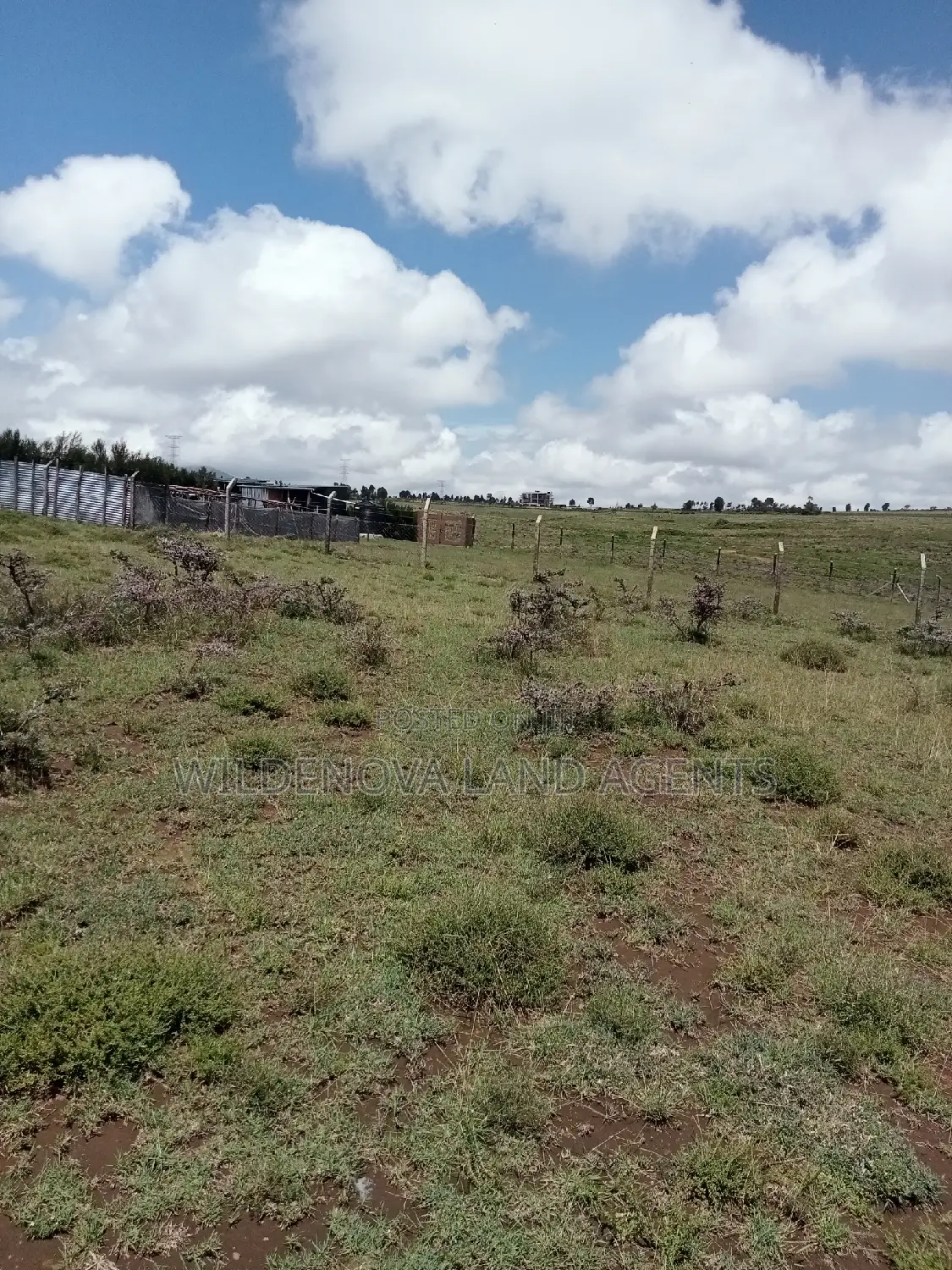 Longonot Naivasha: Spacious Plots at Great Deals - J and Above in Magumu