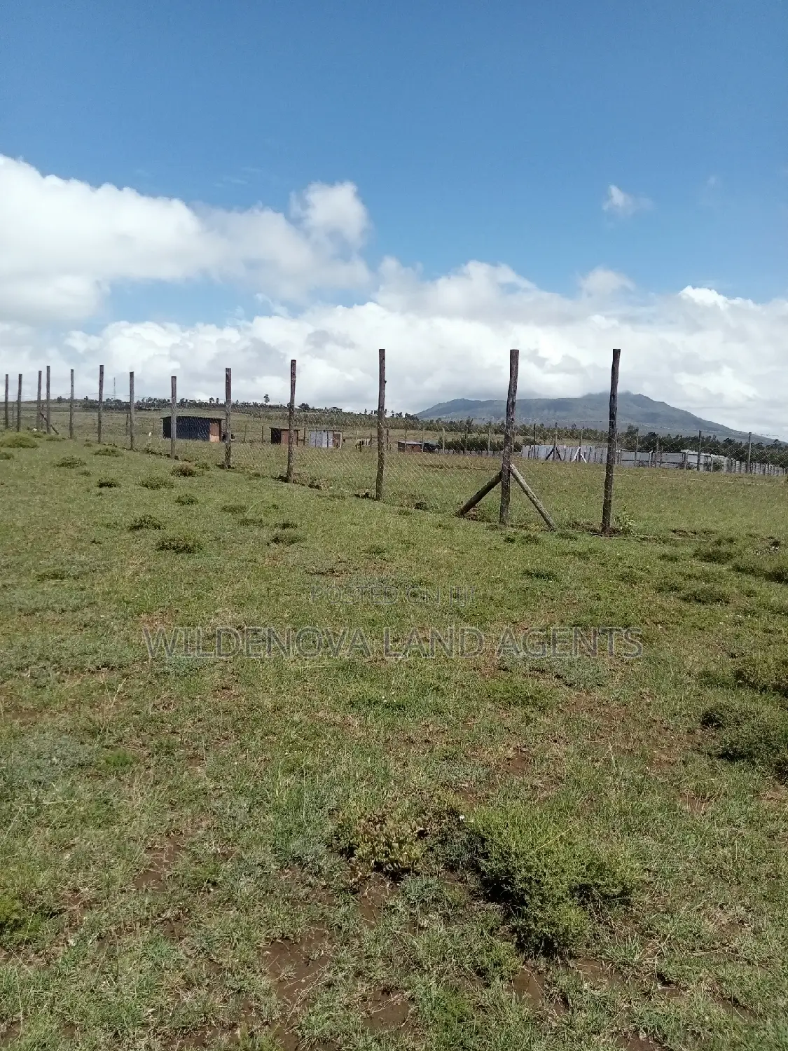 Longonot Naivasha: Spacious Plots at Great Deals - J and Above in Magumu