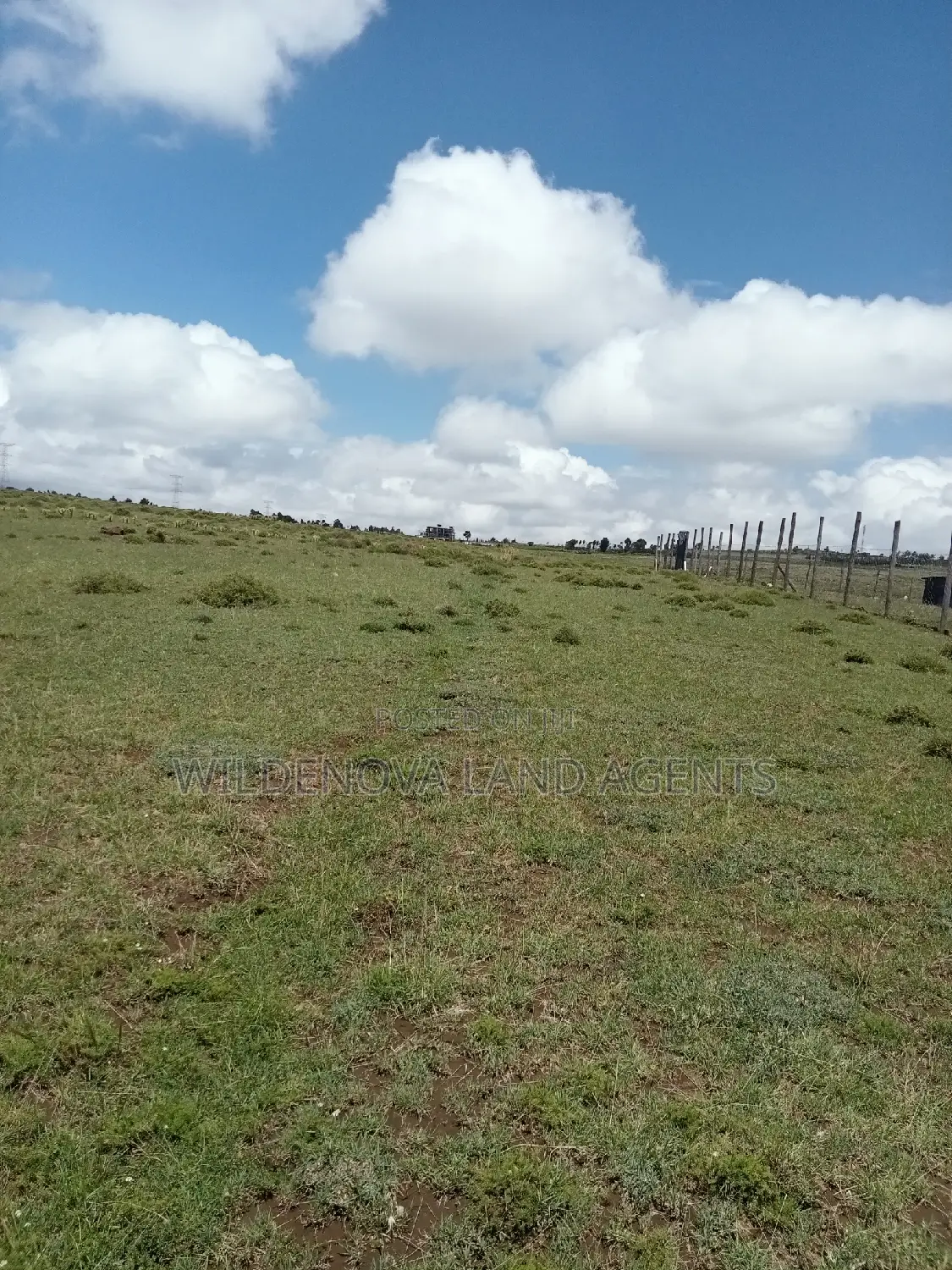 Longonot Naivasha: Spacious Plots at Great Deals - J and Above in Magumu
