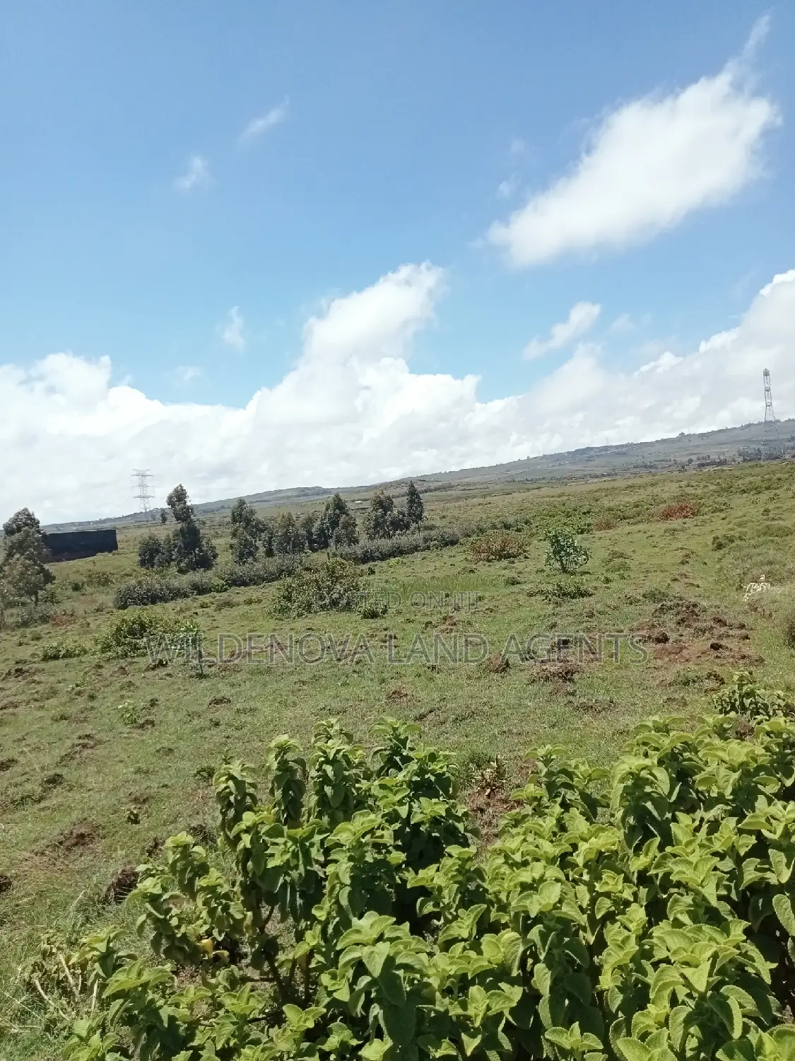 Longonot Naivasha: Spacious Plots at Great Deals - J and Above in Magumu