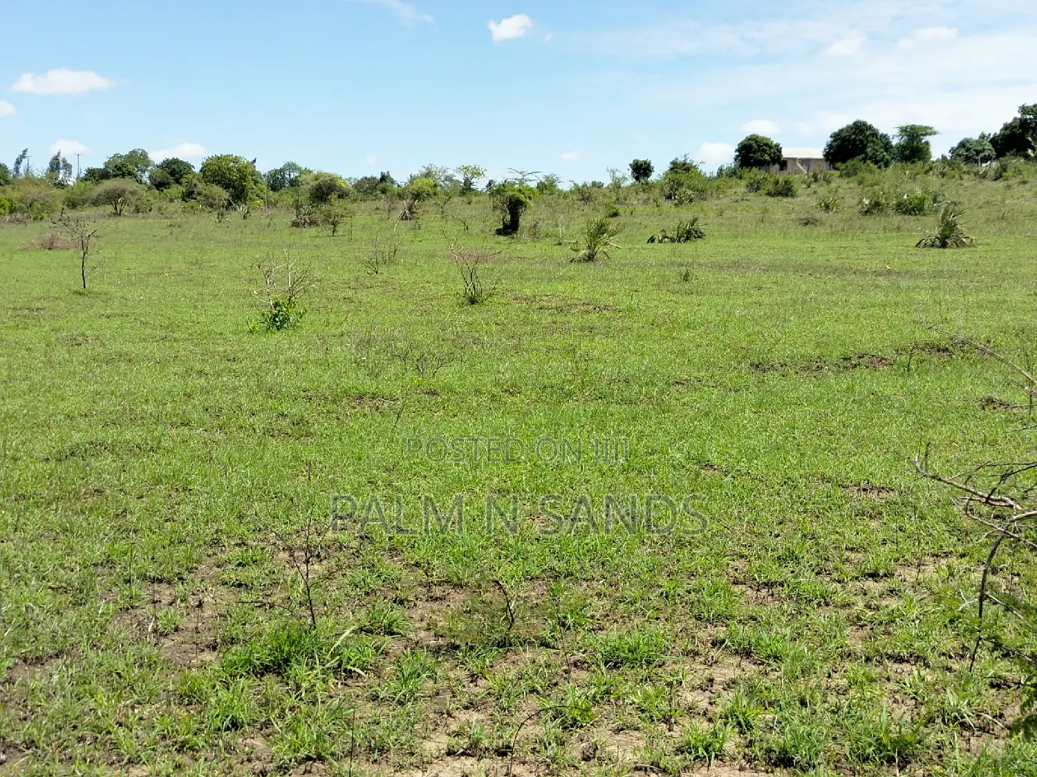 Dongo Kundu Bypass Land - Investment in Prime Real Estate in Ukunda