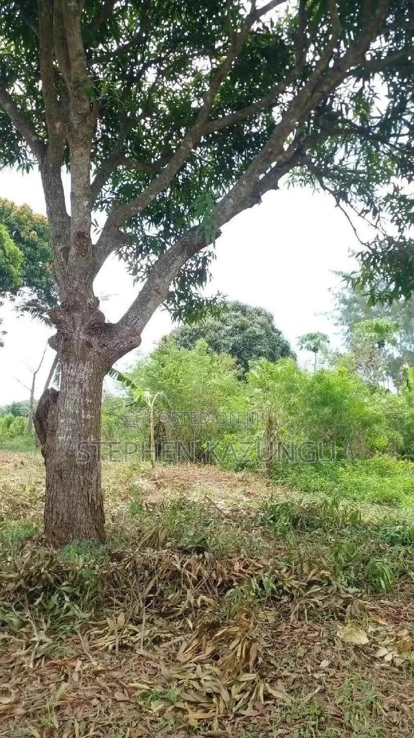 6.5 Acres Treasure at Kinondo Only 200 Metres From Tarmac in Ukunda
