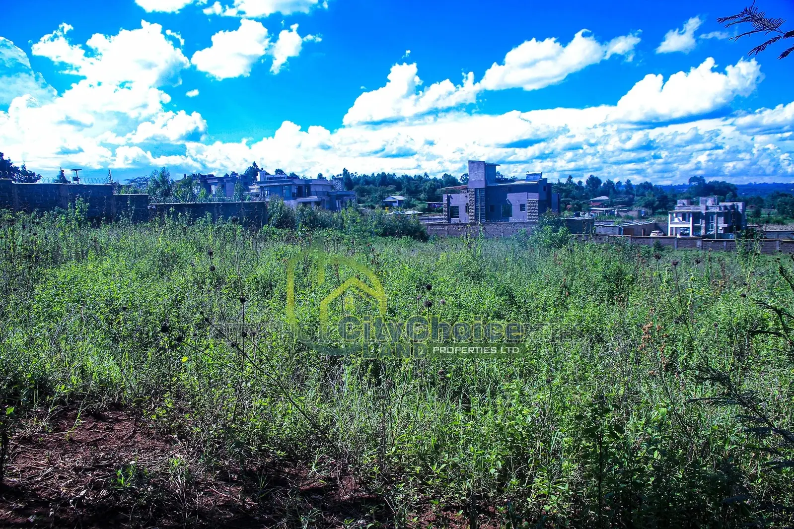 Affordable 50x100 Plot in Lusigetti, KIKUYU - Prime Location in Karai