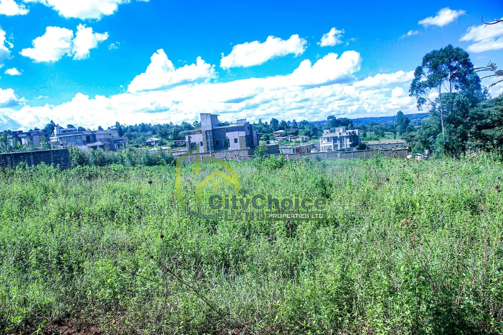 Affordable 50x100 Plot in Lusigetti, KIKUYU - Prime Location in Karai