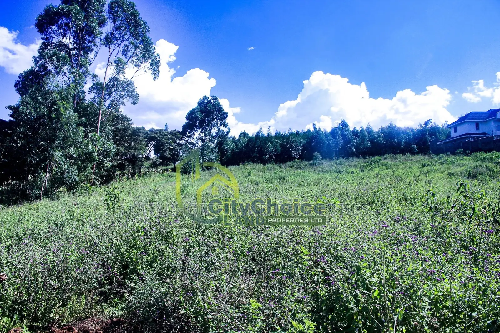 Affordable 50x100 Plot in Lusigetti, KIKUYU - Prime Location in Karai