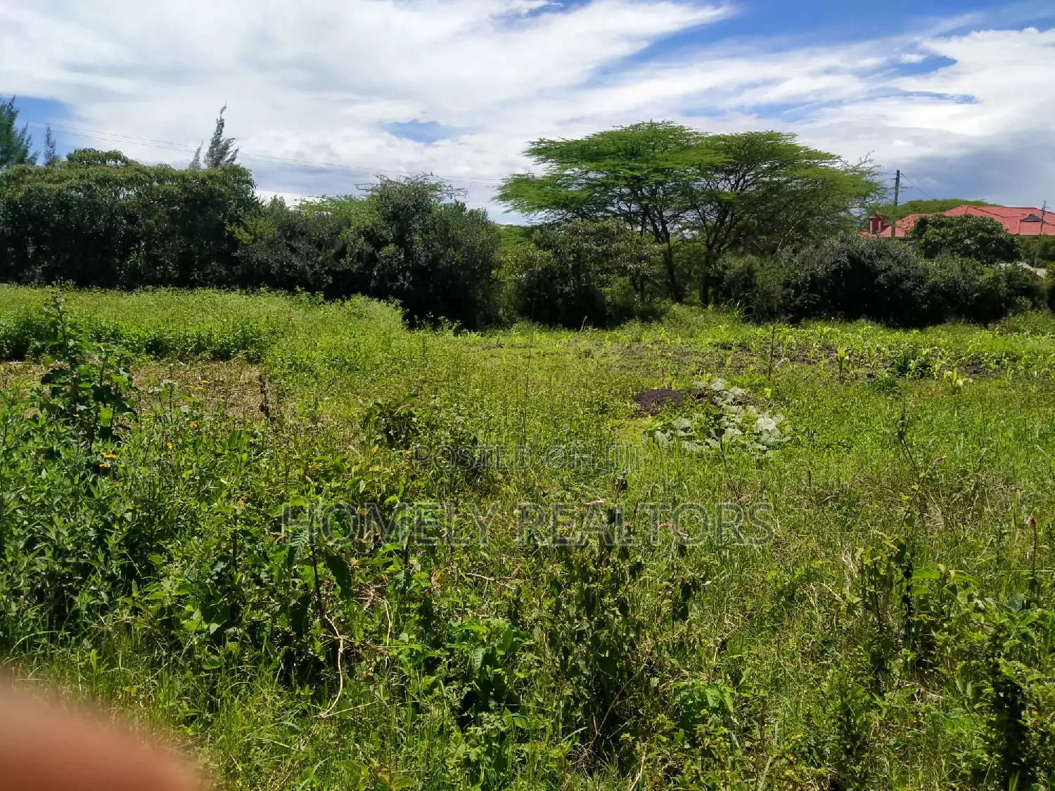 Half-Acre Property in Ongata Rongai, Rimpa - Neighboring Tarmac in Rimpa