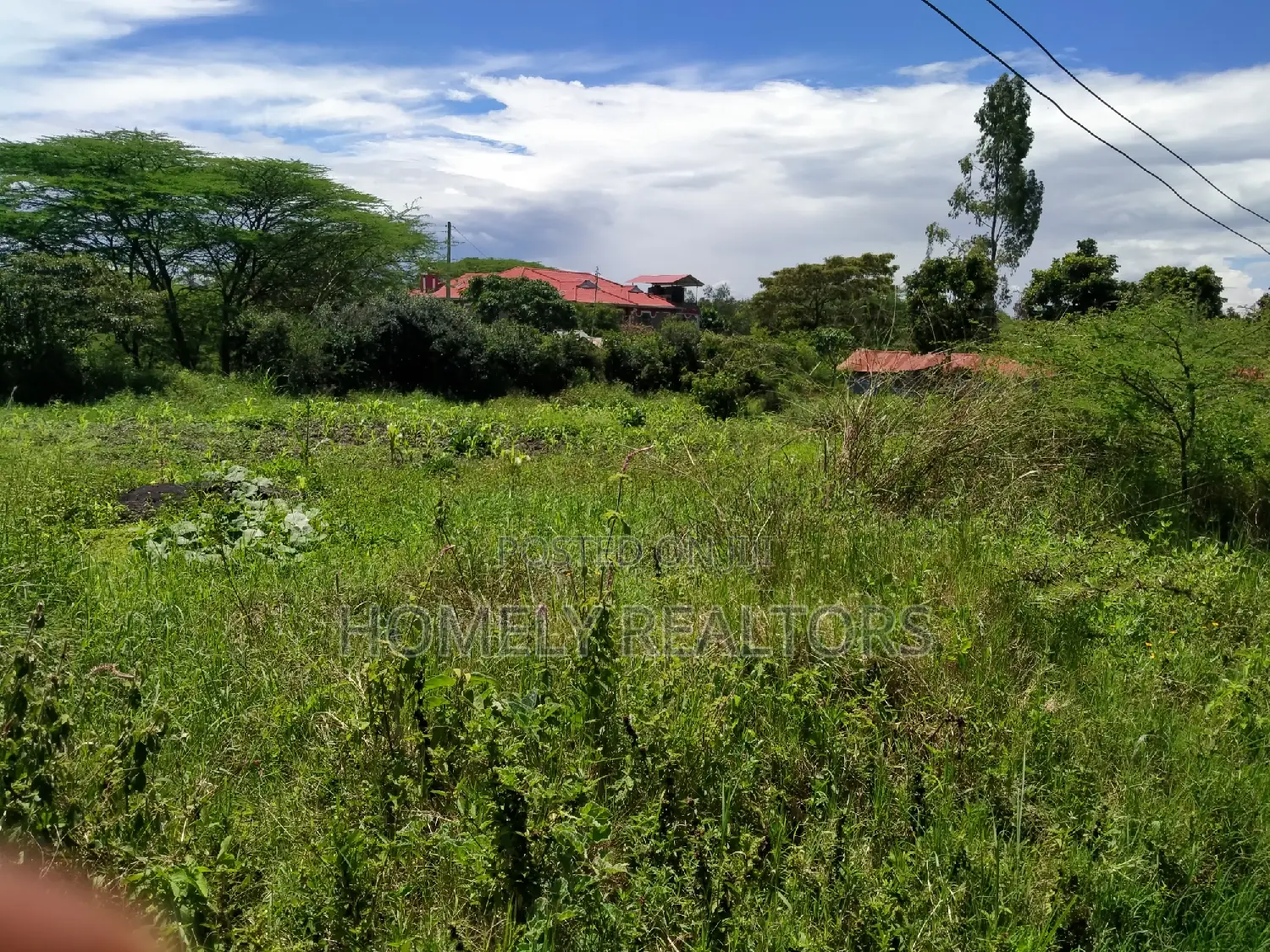 Half-Acre Property in Ongata Rongai, Rimpa - Neighboring Tarmac in Rimpa
