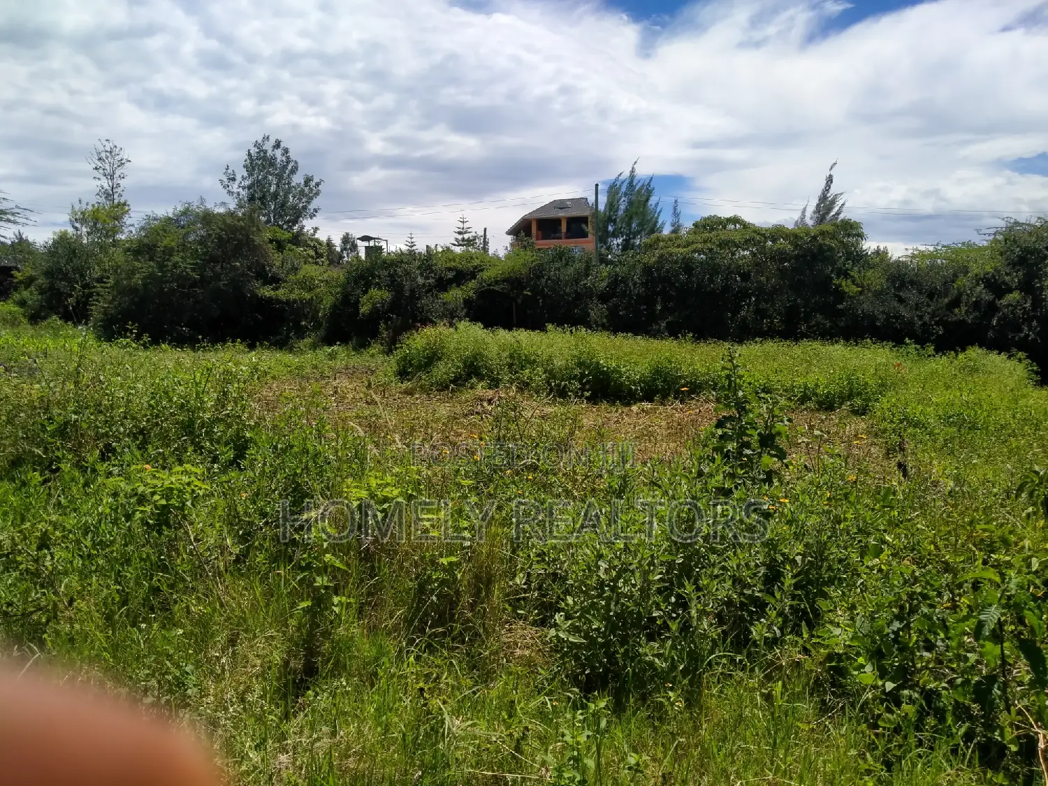 Half-Acre Property in Ongata Rongai, Rimpa - Neighboring Tarmac in Rimpa