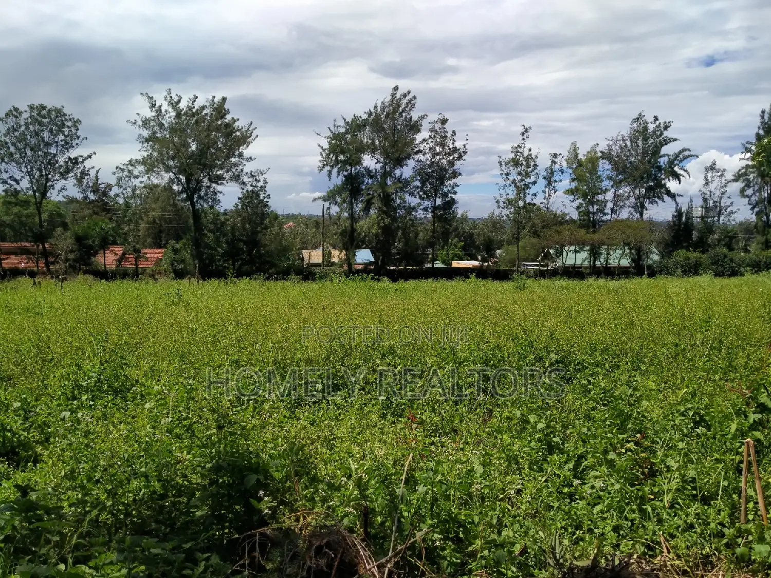 Exclusive Quarter Acre Residential Plot in Nkoroi Gated Estate, Ongata Rongai in Nkoroi