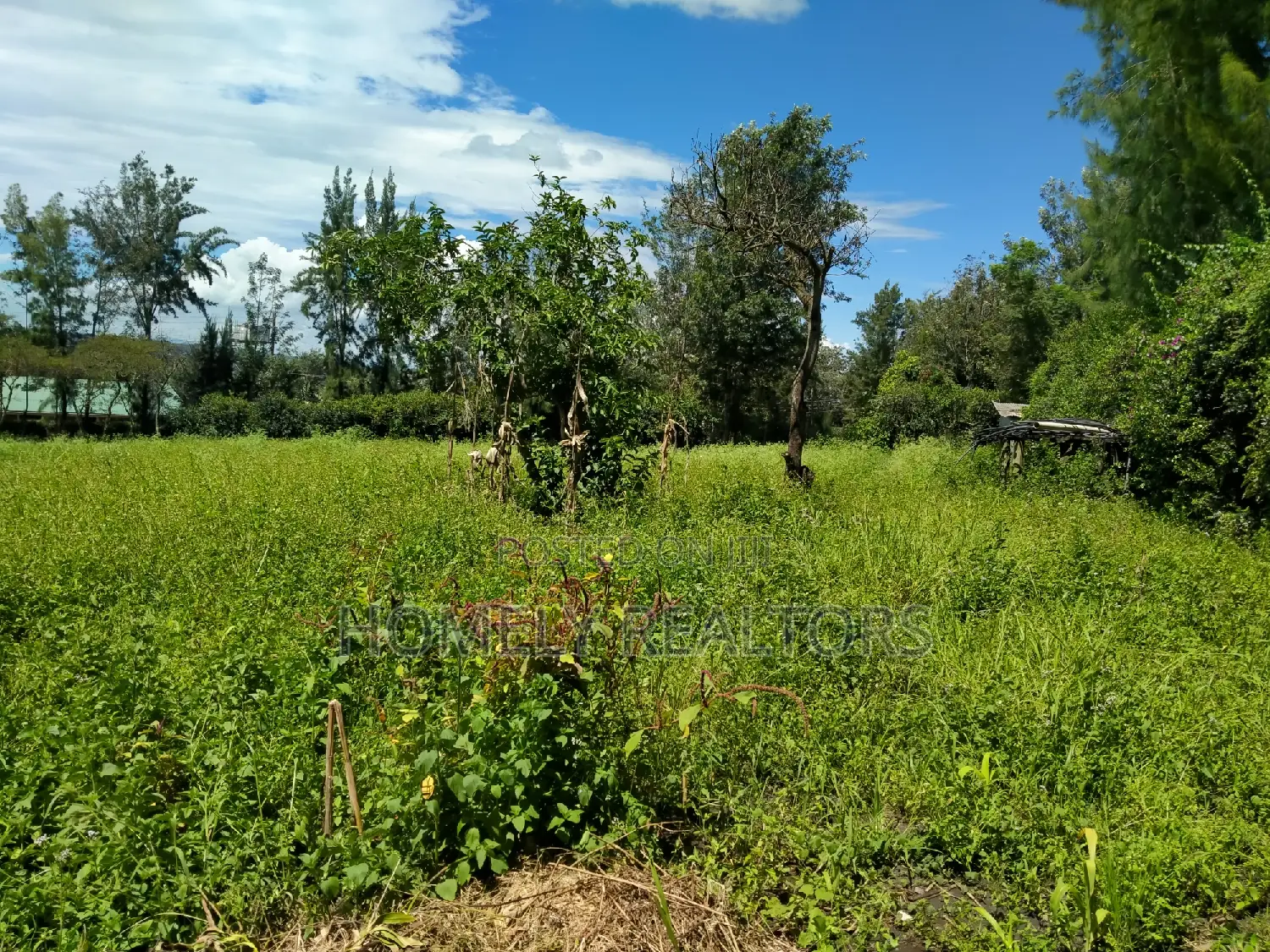 Exclusive Quarter Acre Residential Plot in Nkoroi Gated Estate, Ongata Rongai in Nkoroi