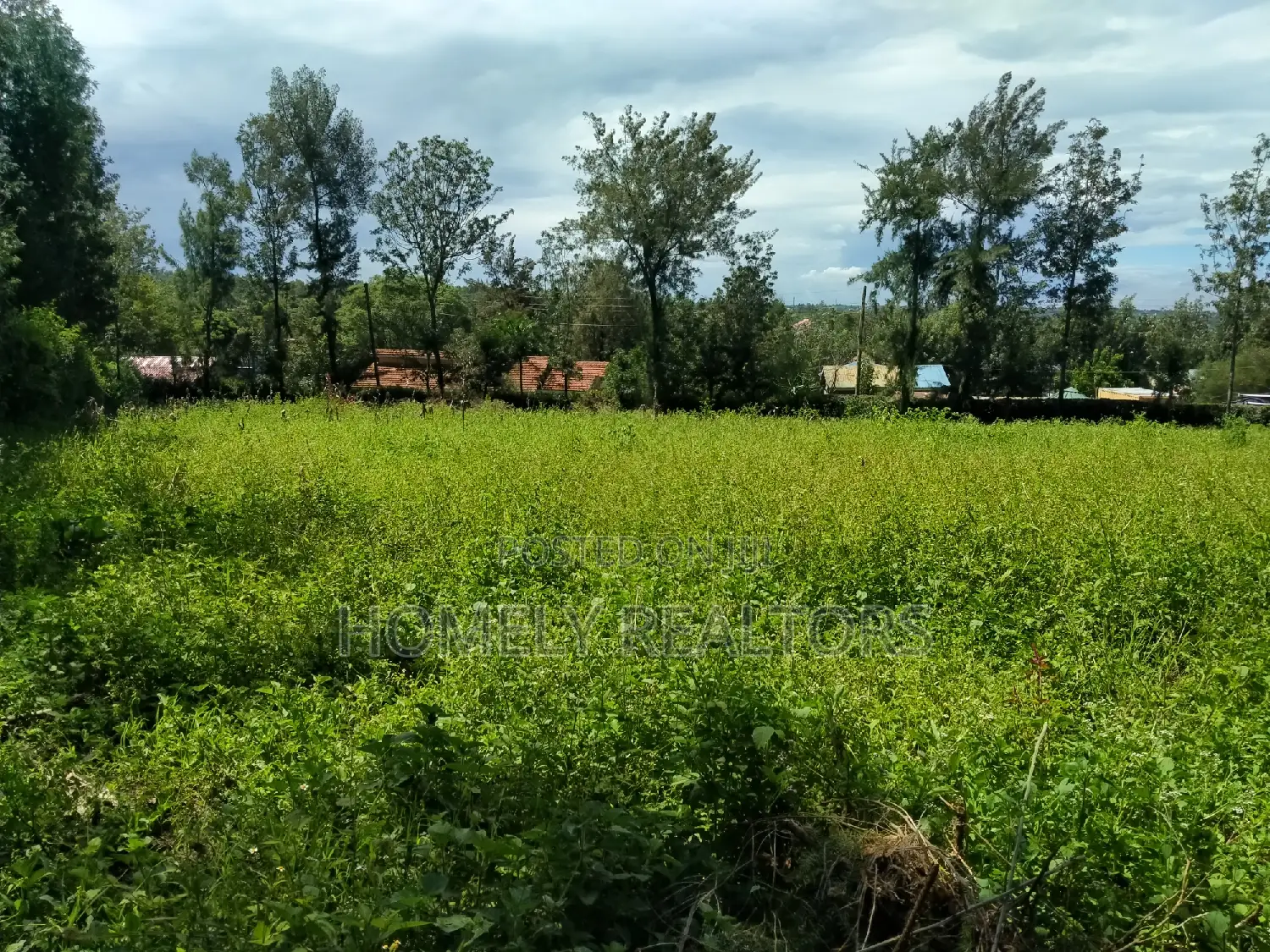 Exclusive Quarter Acre Residential Plot in Nkoroi Gated Estate, Ongata Rongai in Nkoroi