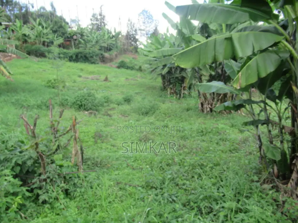 1/4-Acre Land in Muthiga - Ideal for Your Next Home or Investment! in Muthiga
