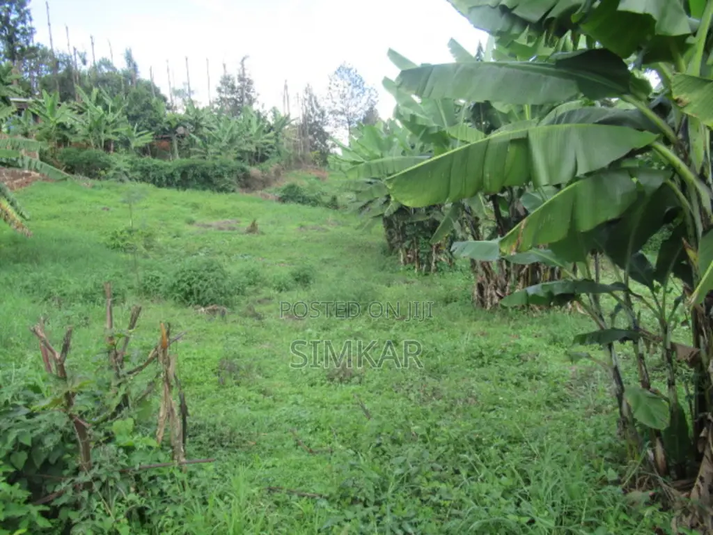 1/4-Acre Land in Muthiga - Ideal for Your Next Home or Investment! in Muthiga