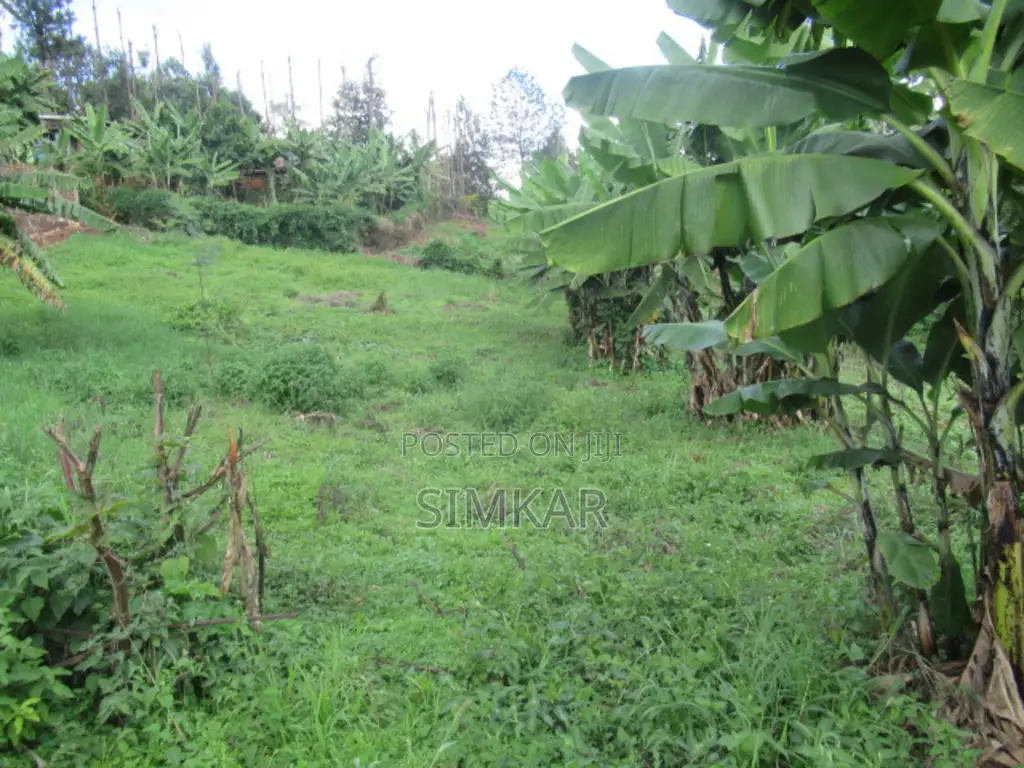 1/4-Acre Land in Muthiga - Ideal for Your Next Home or Investment! in Muthiga