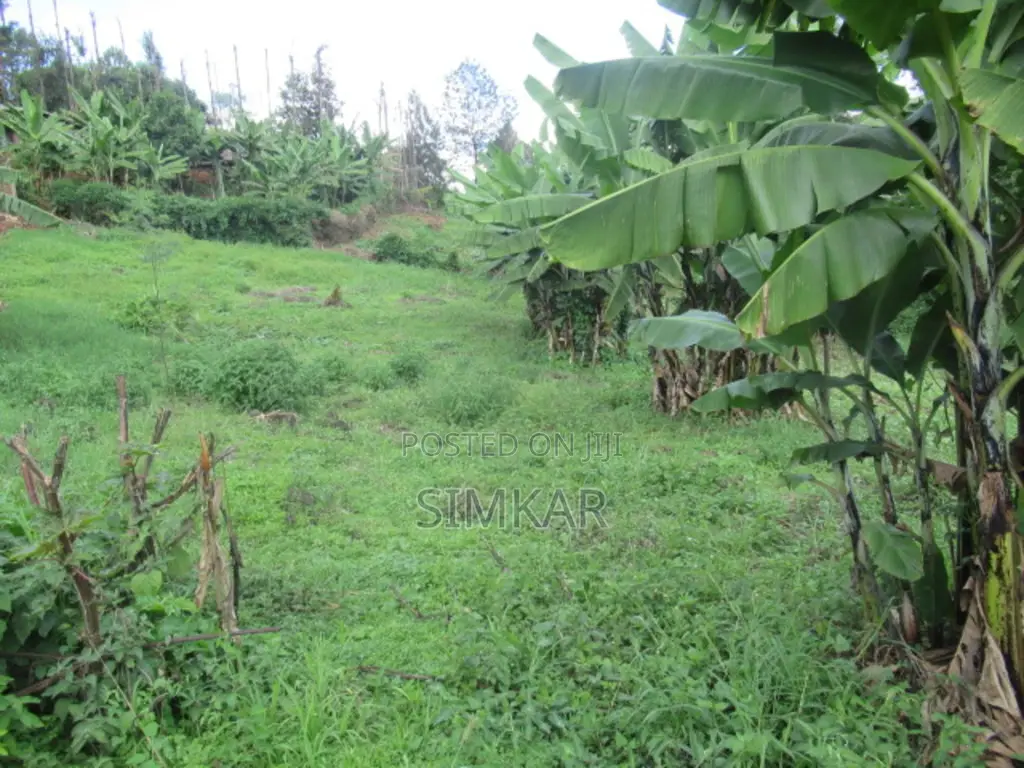 1/4-Acre Land in Muthiga - Ideal for Your Next Home or Investment! in Muthiga