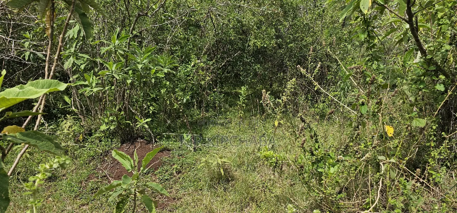 Prime 10-Acre Land Available in Kaptuli Eldoret in Sergoit