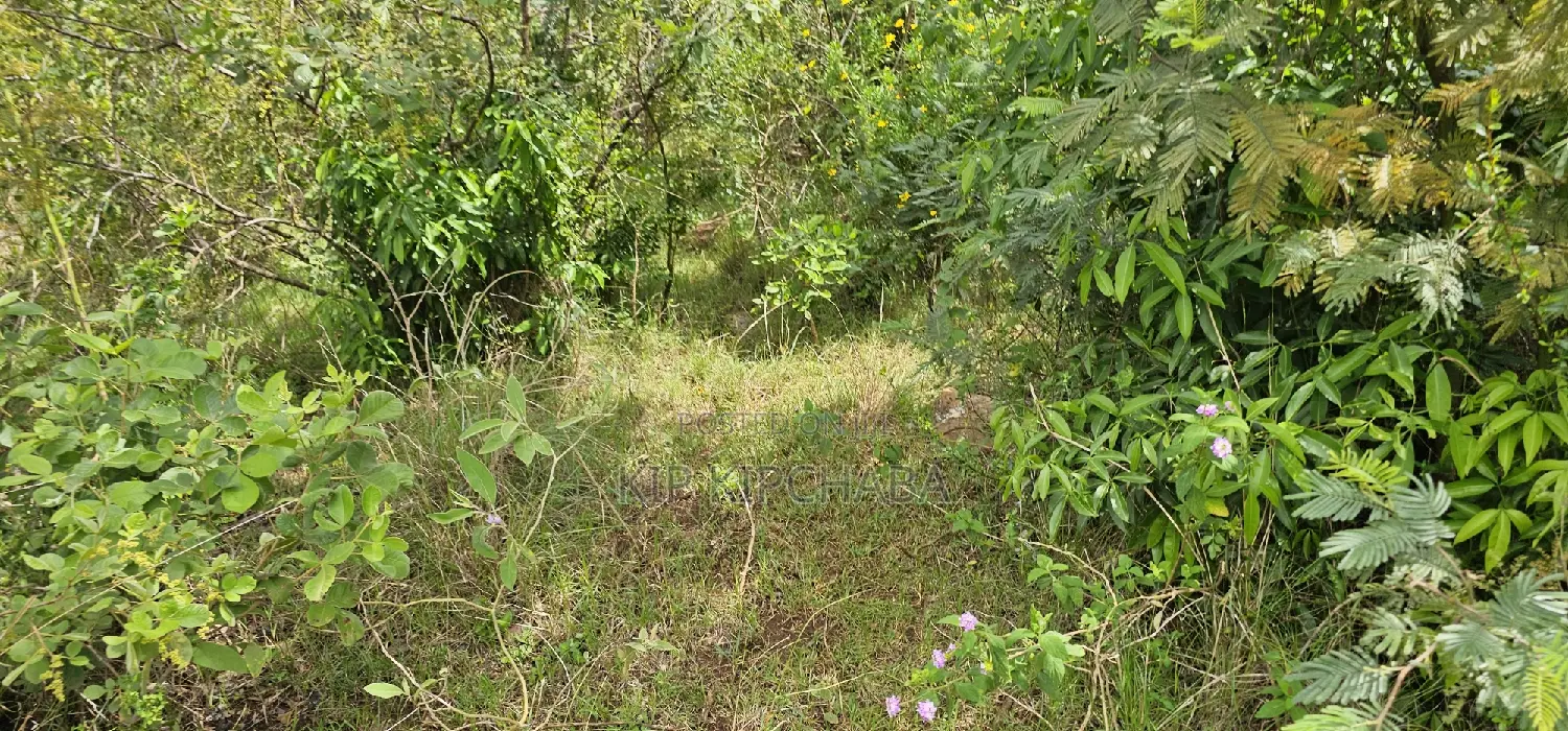 Prime 10-Acre Land Available in Kaptuli Eldoret in Sergoit