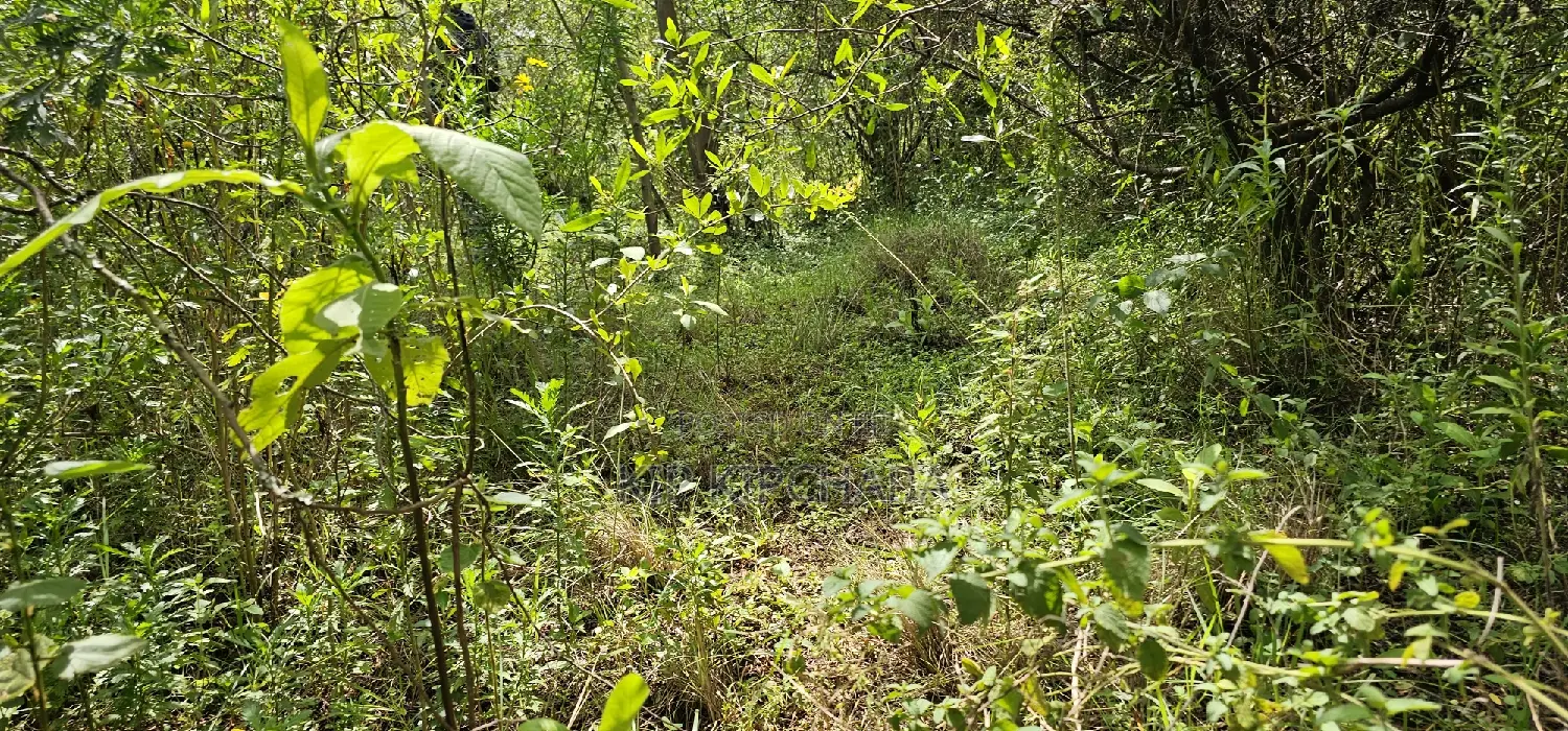 Prime 10-Acre Land Available in Kaptuli Eldoret in Sergoit
