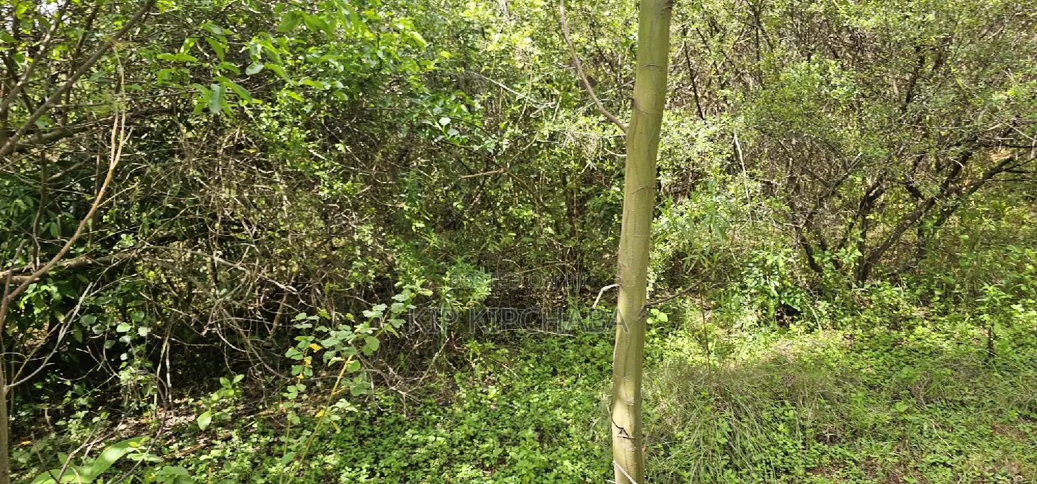 Prime 10-Acre Land Available in Kaptuli Eldoret in Sergoit