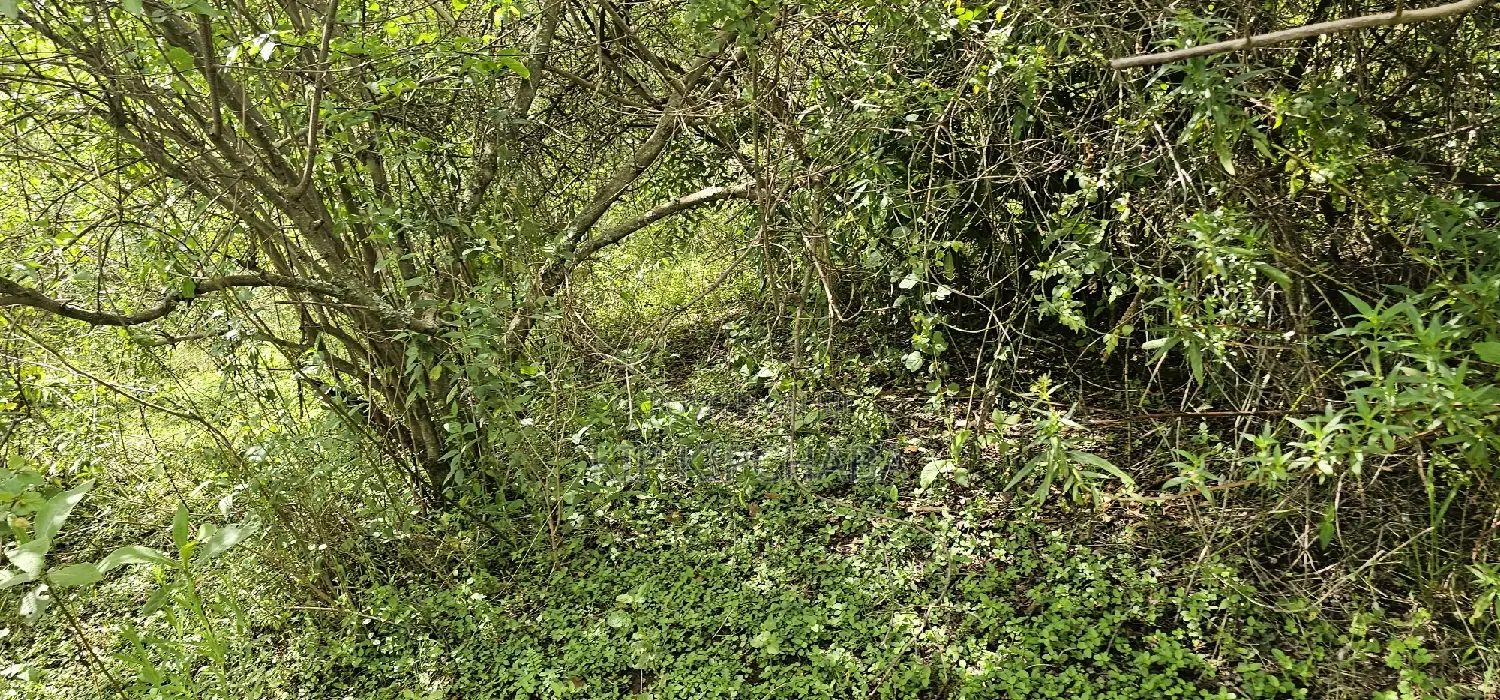 Prime 10-Acre Land Available in Kaptuli Eldoret in Sergoit
