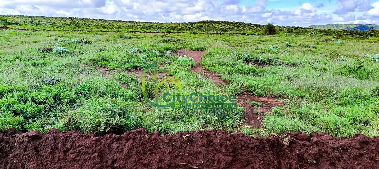 Bargain 50X100 Plot in Kikuyu, Nachu - Perfect Investment Opportunity! in Nachu