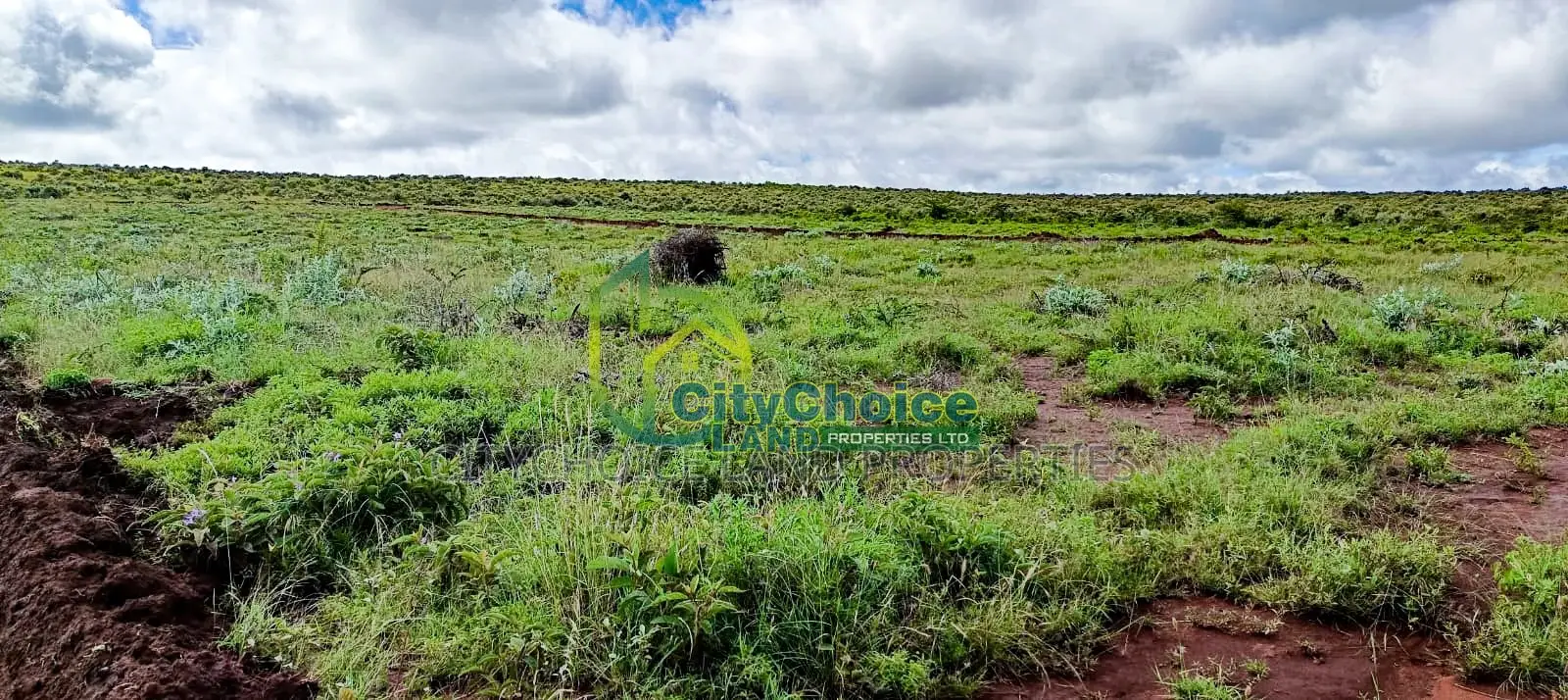Bargain 50X100 Plot in Kikuyu, Nachu - Perfect Investment Opportunity! in Nachu