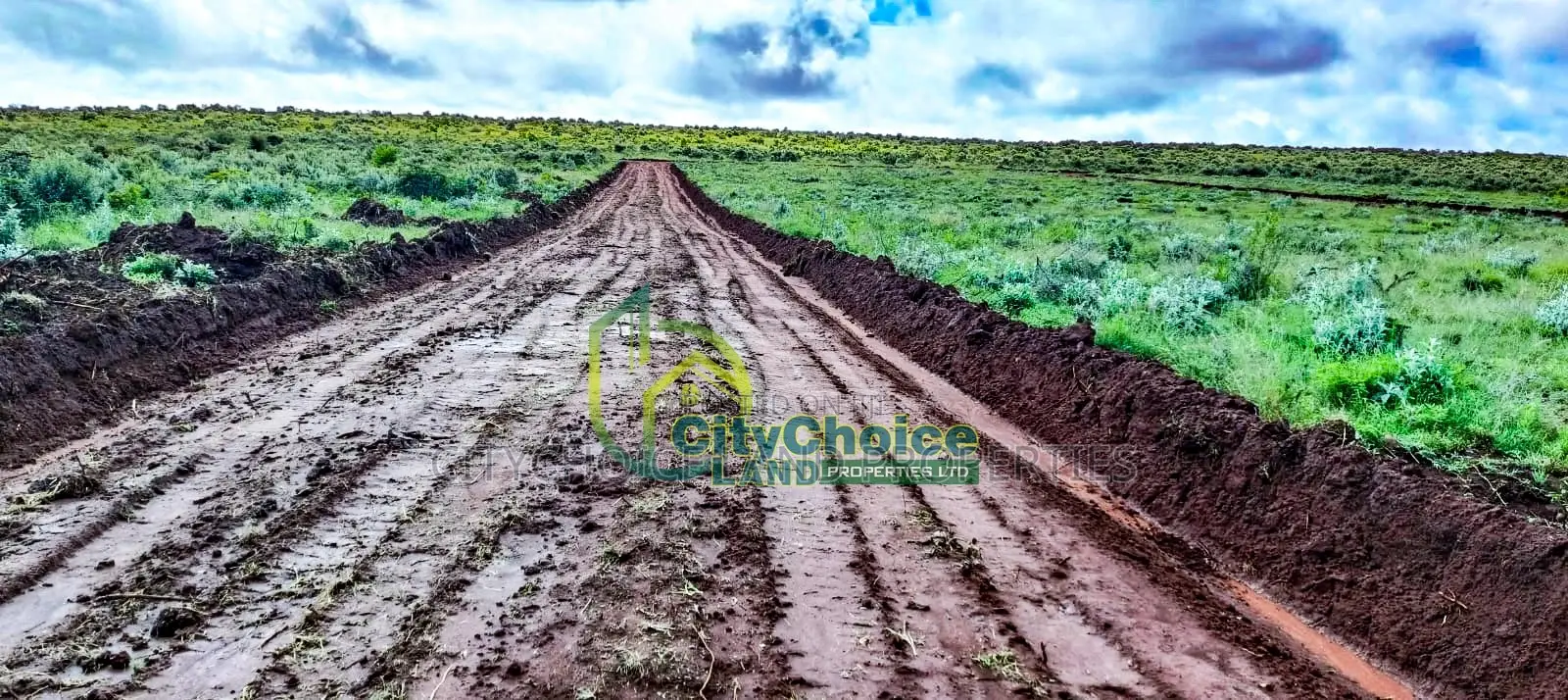 Bargain 50X100 Plot in Kikuyu, Nachu - Perfect Investment Opportunity! in Nachu