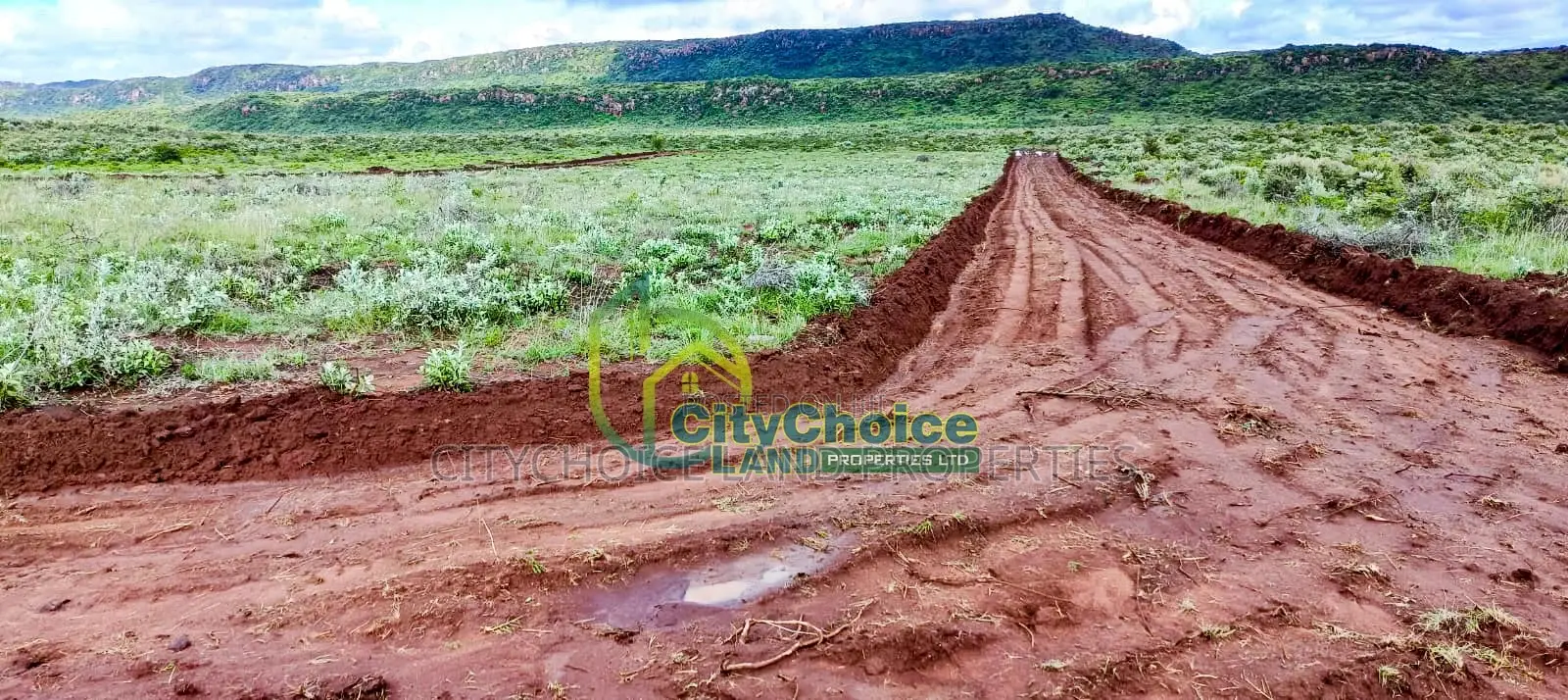 Bargain 50X100 Plot in Kikuyu, Nachu - Perfect Investment Opportunity! in Nachu