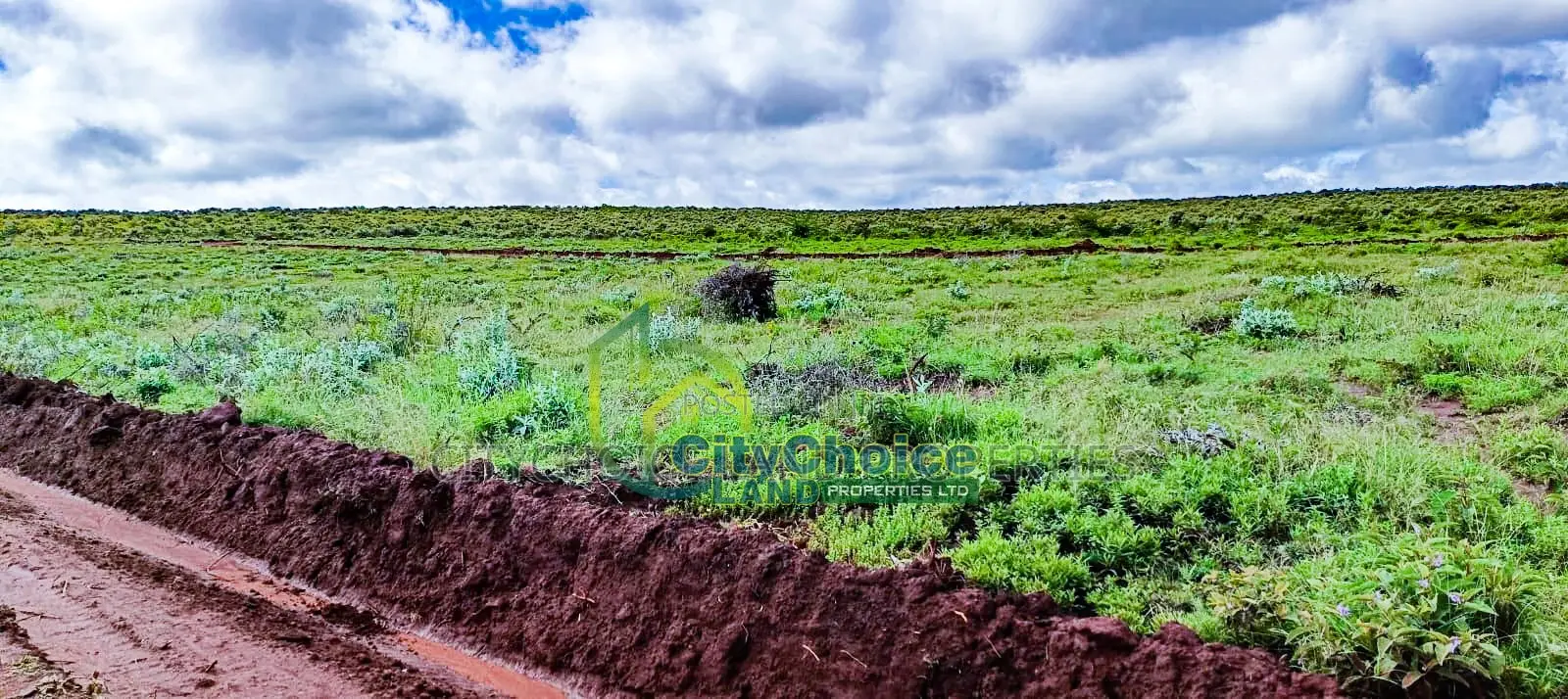 Bargain 50X100 Plot in Kikuyu, Nachu - Perfect Investment Opportunity! in Nachu