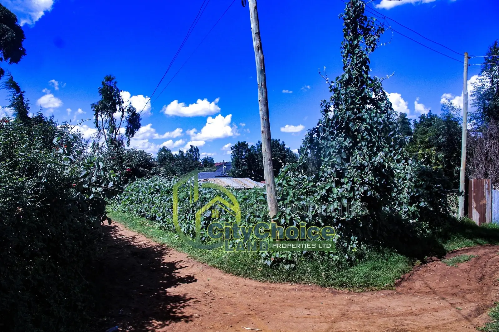 Affordable Prime Land for Sale in Ruthigiti Kikuyu - 1/4 Acre Plot in Karai