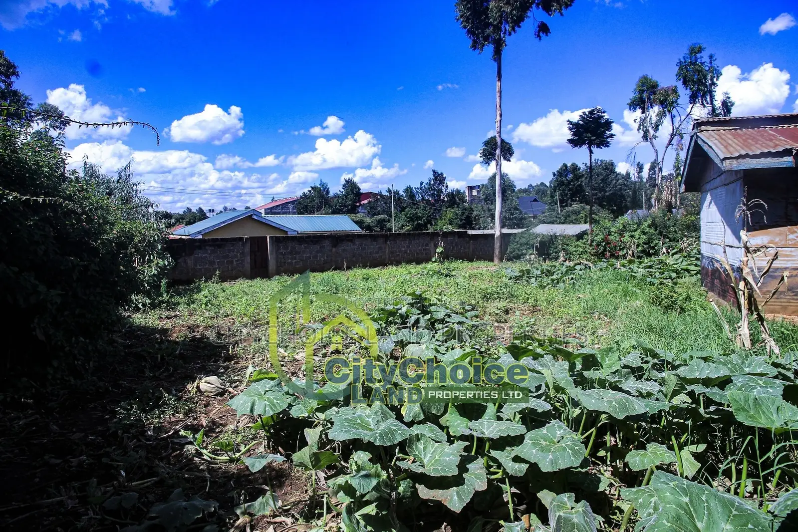 Affordable Prime Land for Sale in Ruthigiti Kikuyu - 1/4 Acre Plot in Karai
