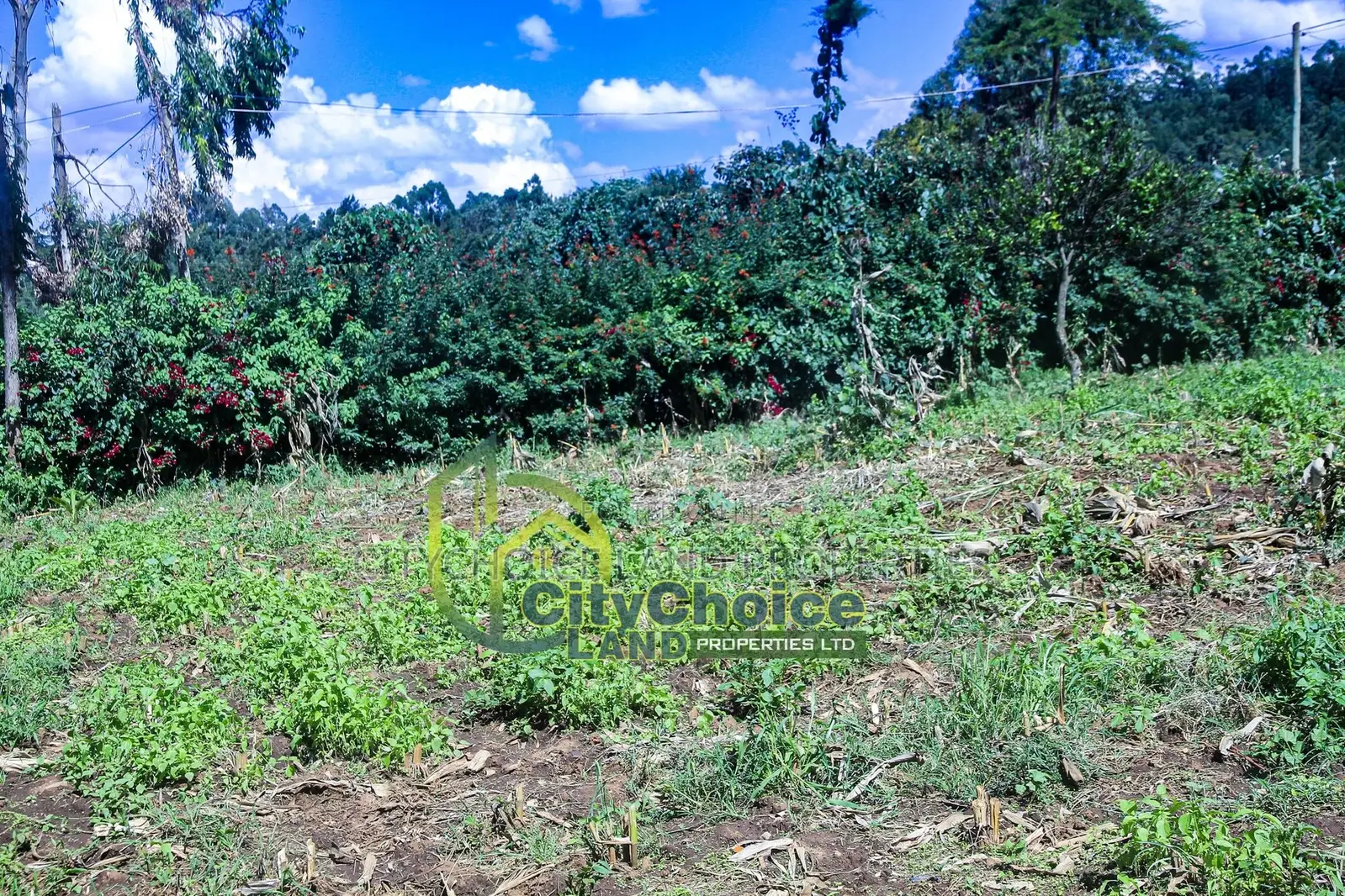 Affordable Prime Land for Sale in Ruthigiti Kikuyu - 1/4 Acre Plot in Karai
