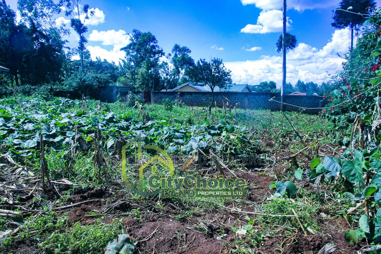 Affordable Prime Land for Sale in Ruthigiti Kikuyu - 1/4 Acre Plot in Karai