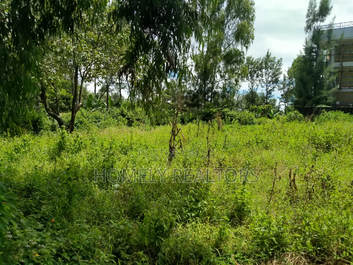 Kandisi Quarter Acre Plot in Ongata Rongai - Next to the Tarmac! in Kandisi