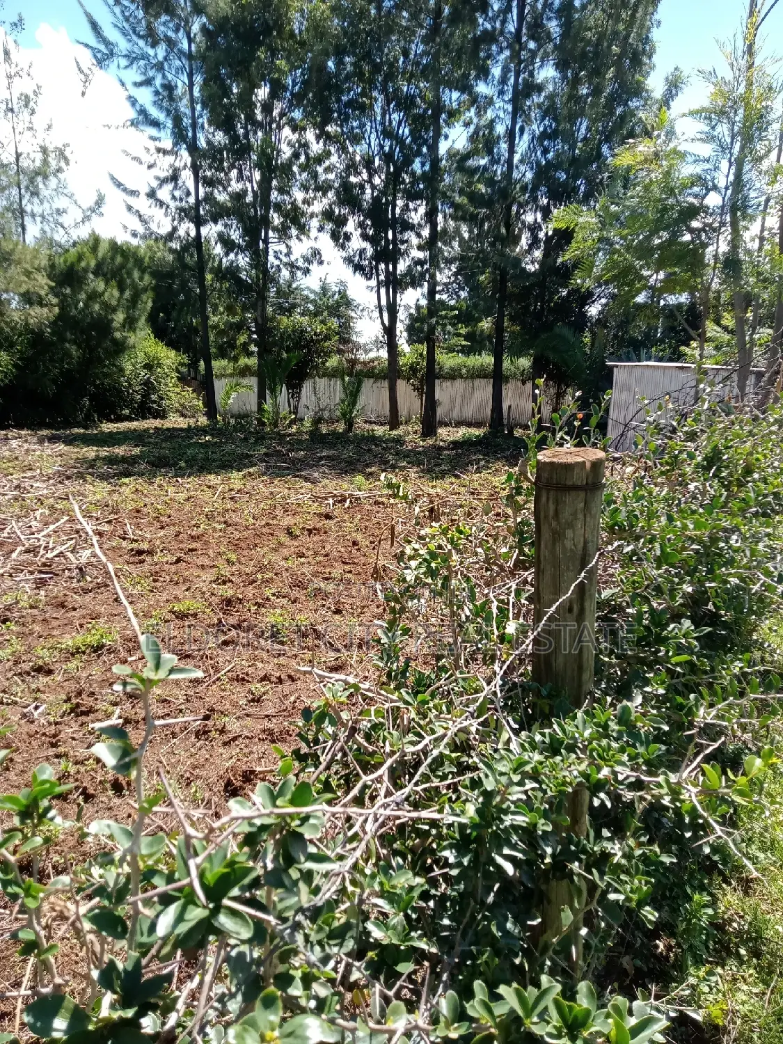 1/4 Plot Kapseret Inder With Title in Kapsuswa
