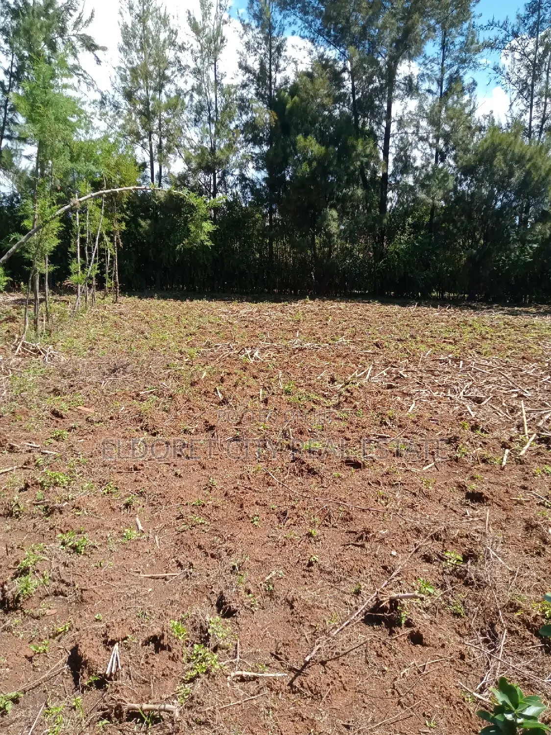 1/8 Plot Kapseret Inder Area Ideal for Residential in Kapsuswa