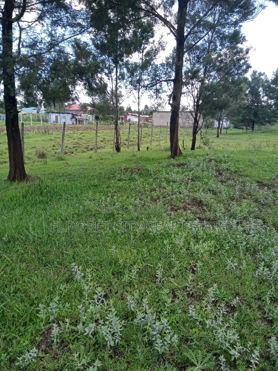 1/4 Plot Annex Rolyton With Title 200metres From Tarmac in Kapsuswa