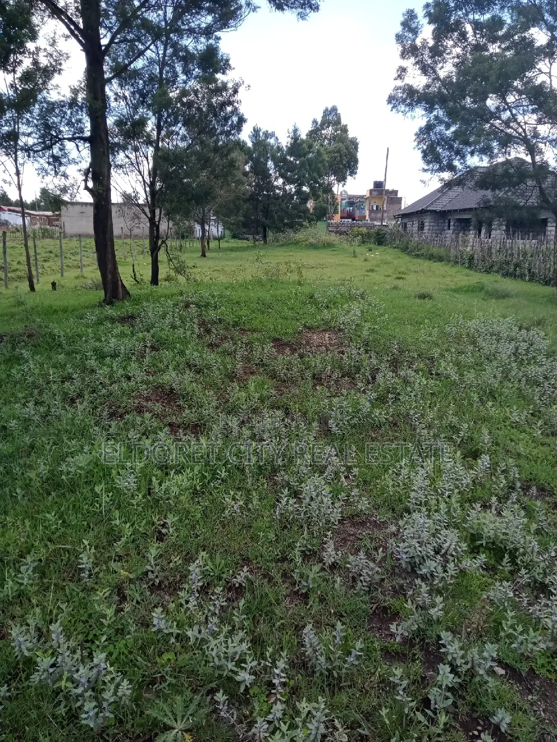 1/4 Plot Annex Rolyton With Title 200metres From Tarmac in Kapsuswa