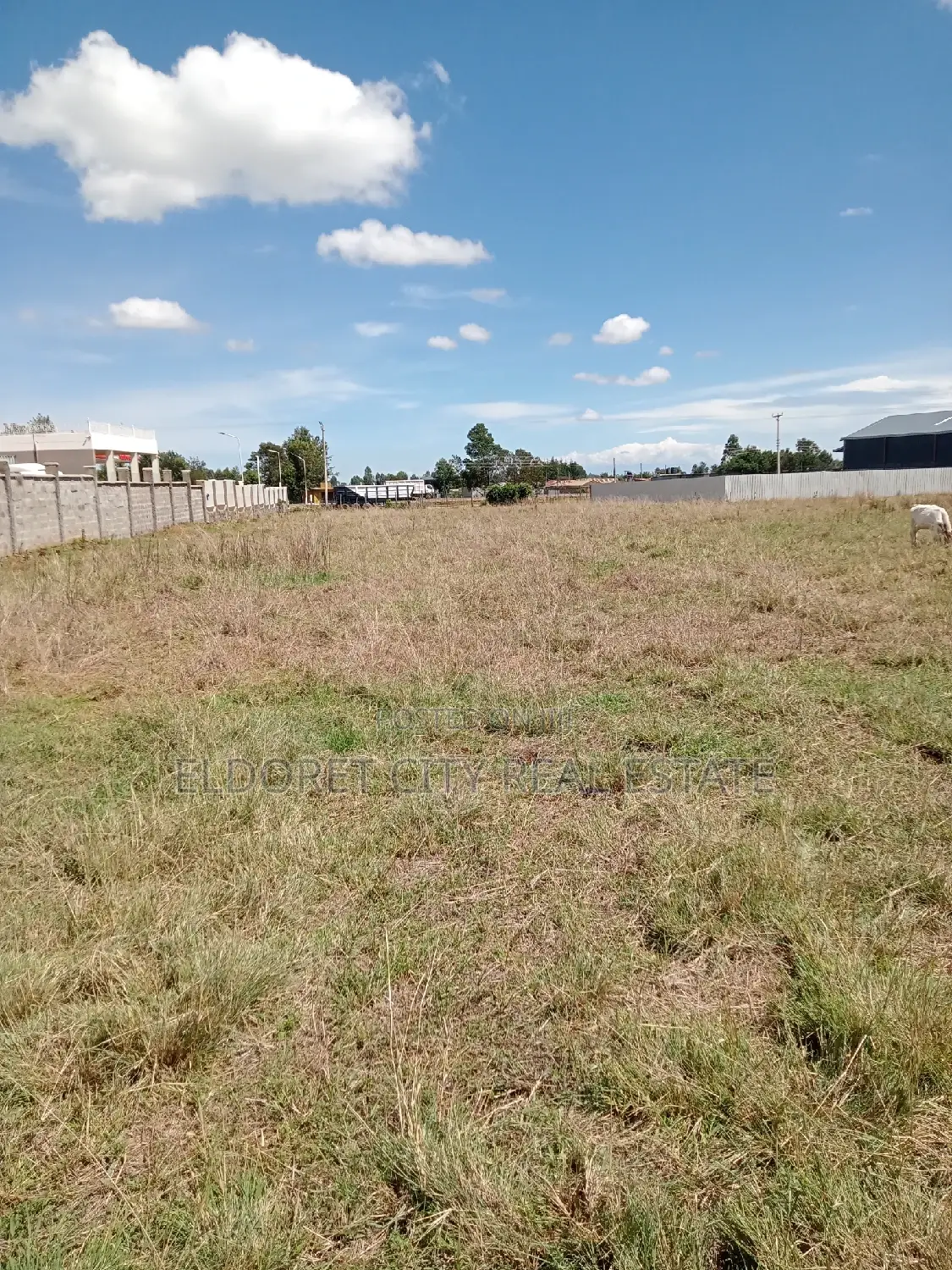 1/4 Plot Annex With Title Less Than 100metres From Tarmac in Kapsuswa