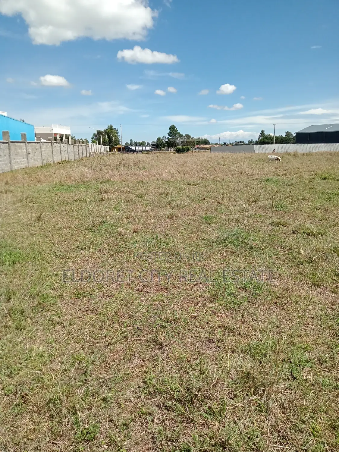1/4 Plot Annex With Title Less Than 100metres From Tarmac in Kapsuswa