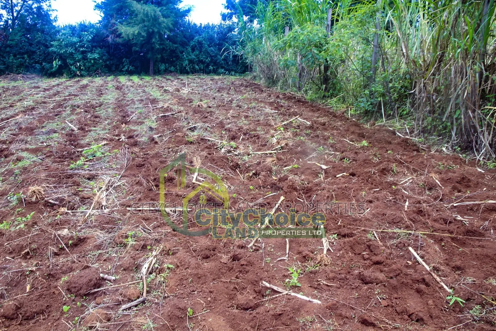 Ondiri, Kikuyu: 0.25 Acre Land for Sale - Great Opportunity! in Muguga