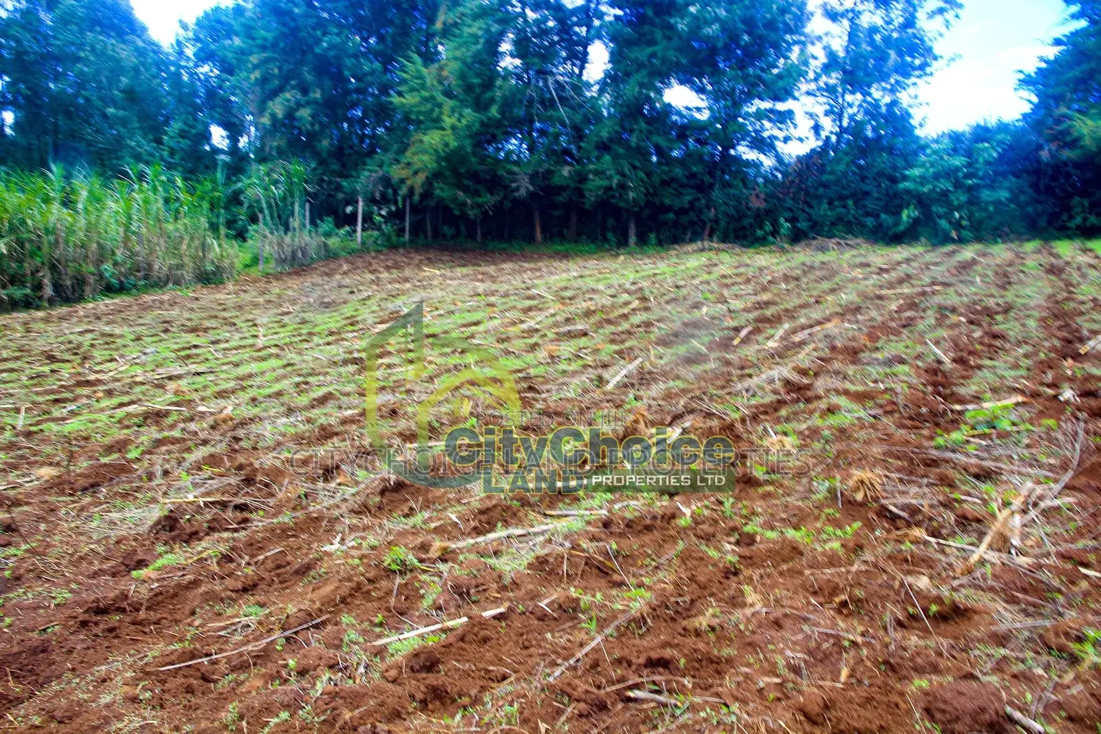 Ondiri, Kikuyu: 0.25 Acre Land for Sale - Great Opportunity! in Muguga