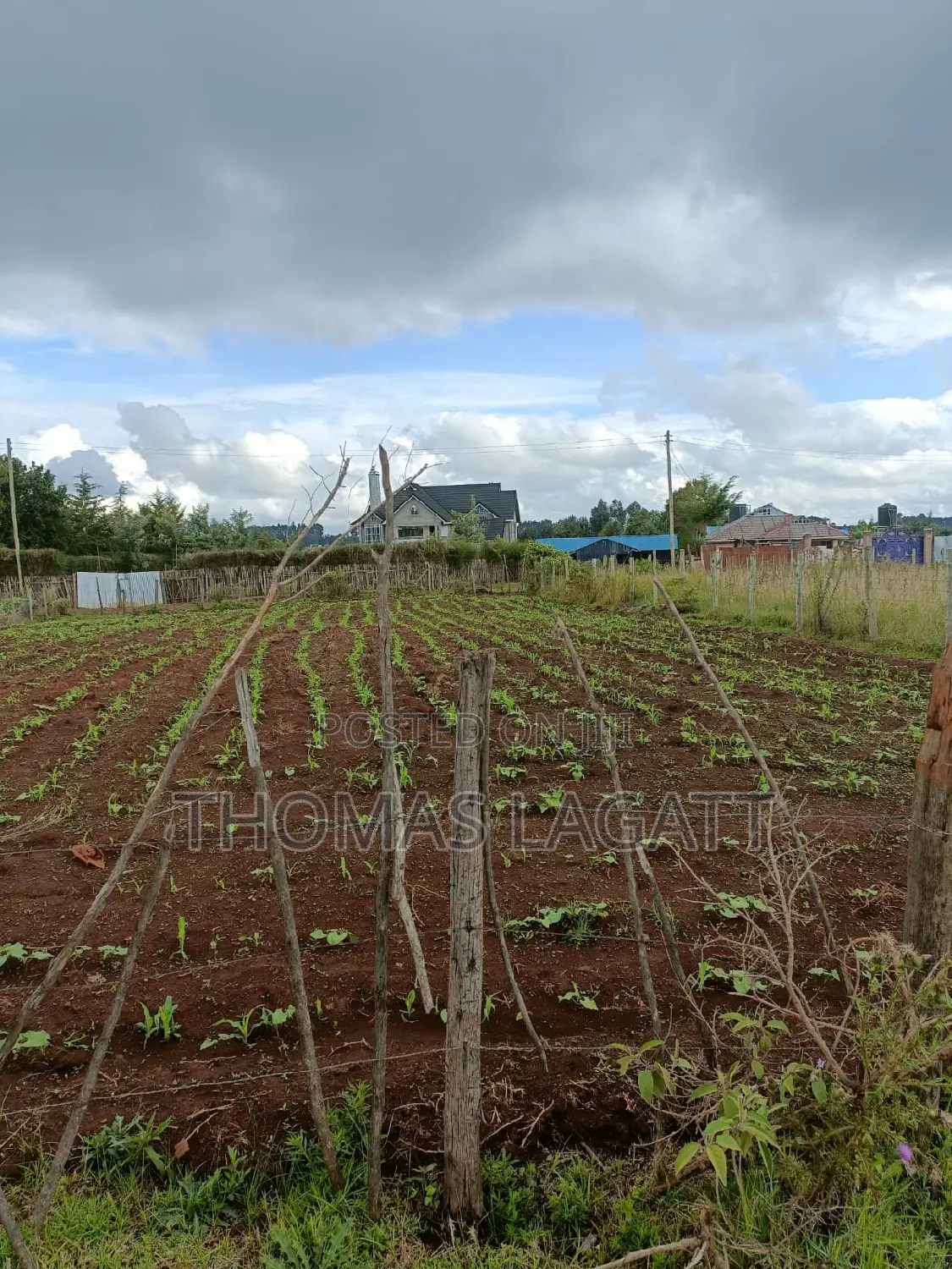 Prime Residential 1⁄4 Acre Land: Seize Your Dream Home Opportunity! in Kapseret