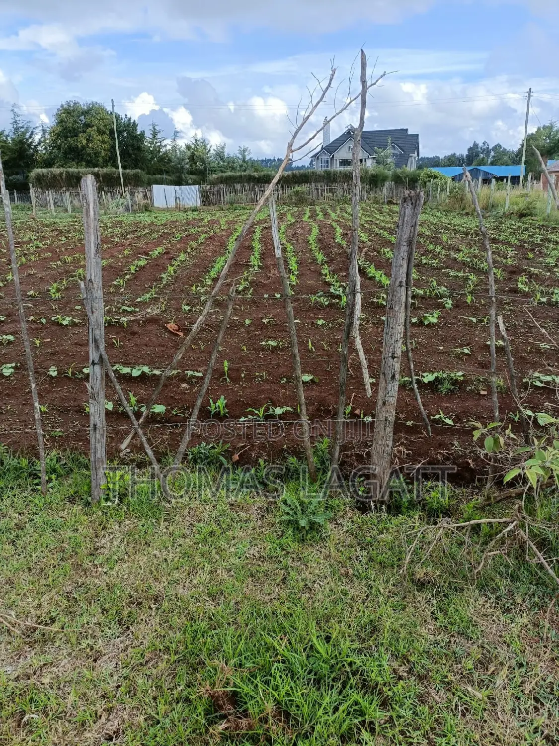 Prime Residential 1⁄4 Acre Land: Seize Your Dream Home Opportunity! in Kapseret
