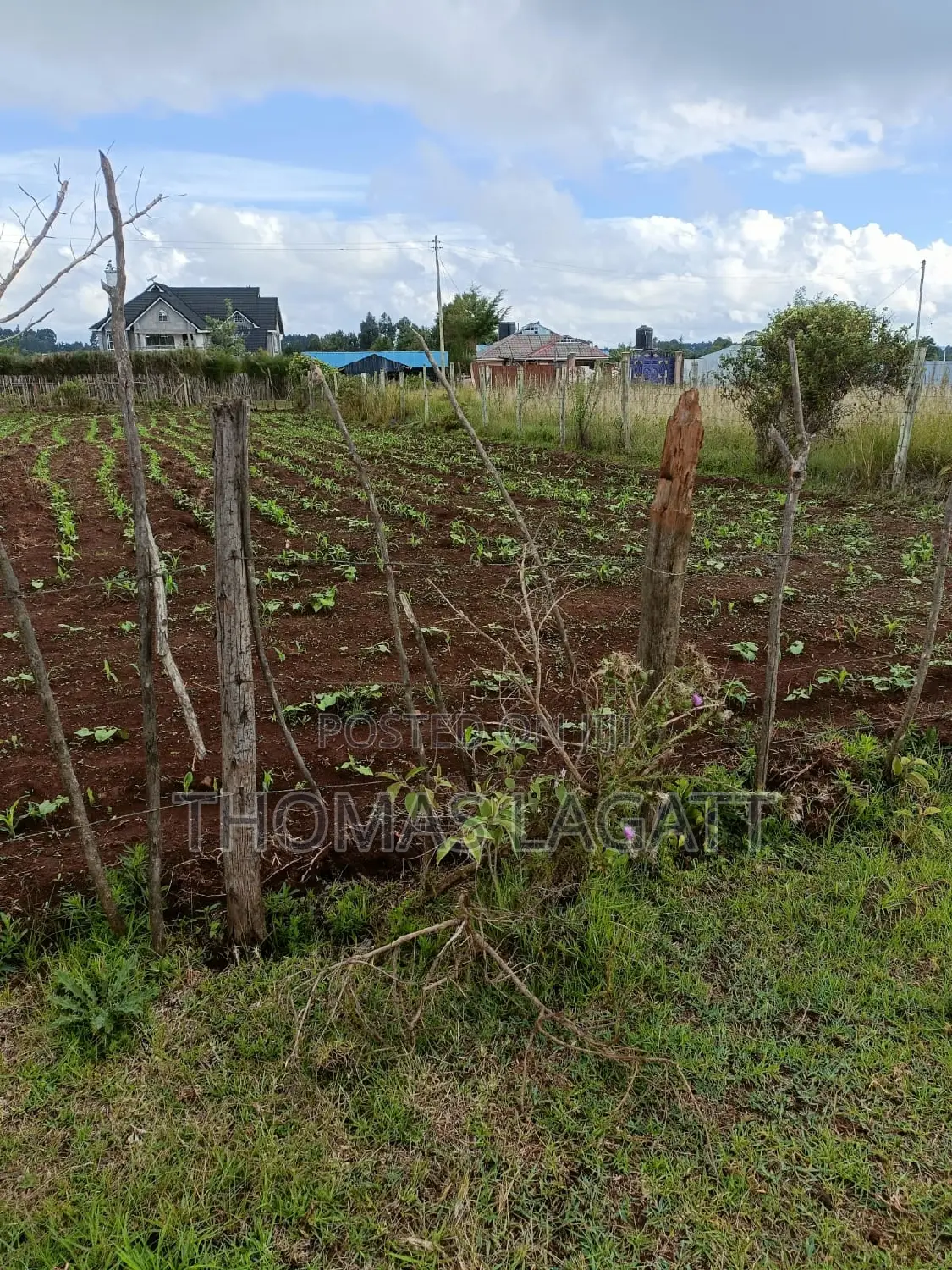 Prime Residential 1⁄4 Acre Land: Seize Your Dream Home Opportunity! in Kapseret