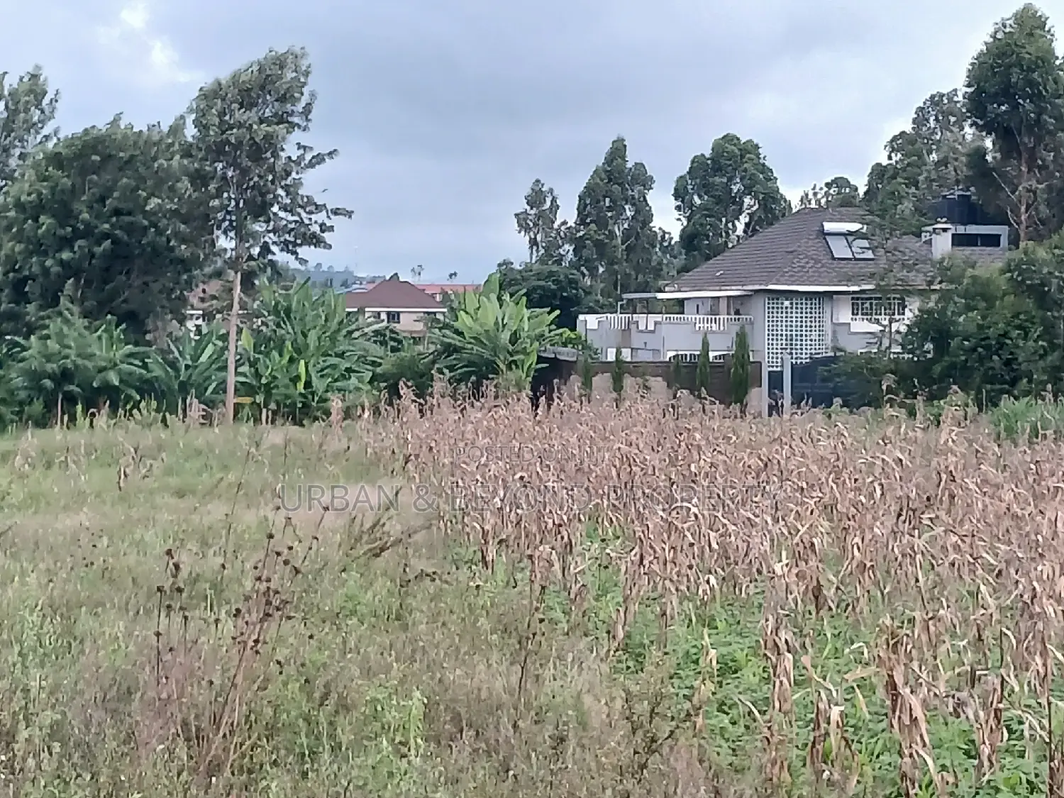 1/8 Acre Land Plots for Sale: 50 x 100 ft Dimensions in Kikuyu