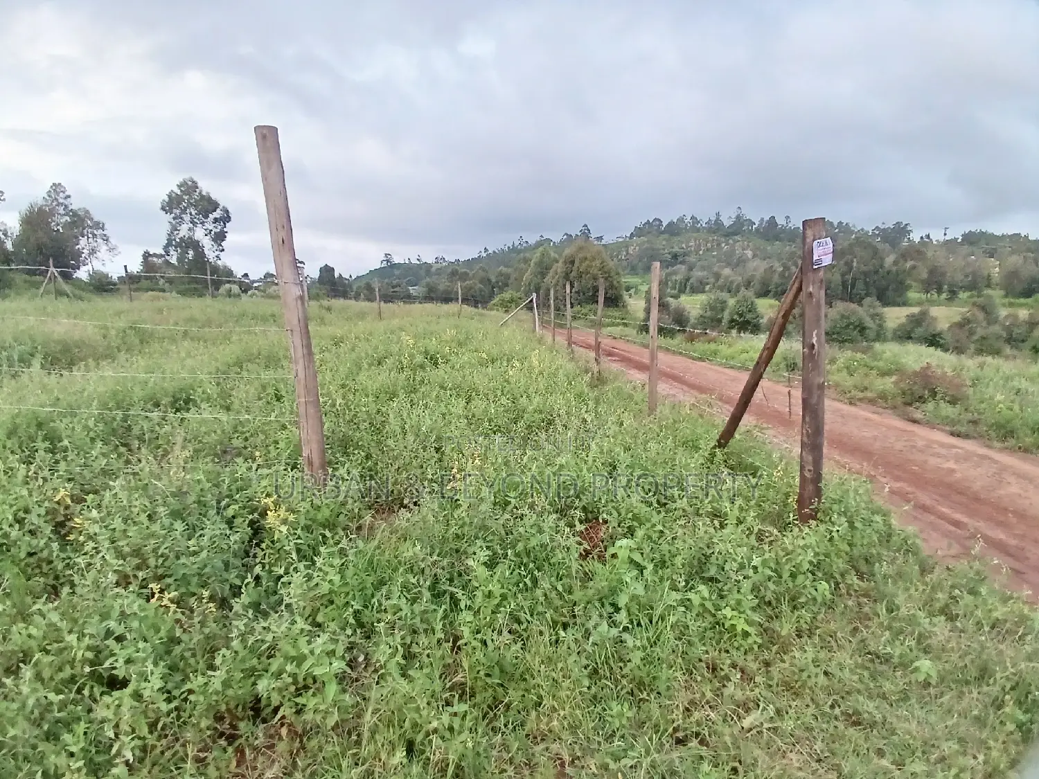 1/8 Acre Land Plots for Sale: 50 x 100 ft Dimensions in Kikuyu