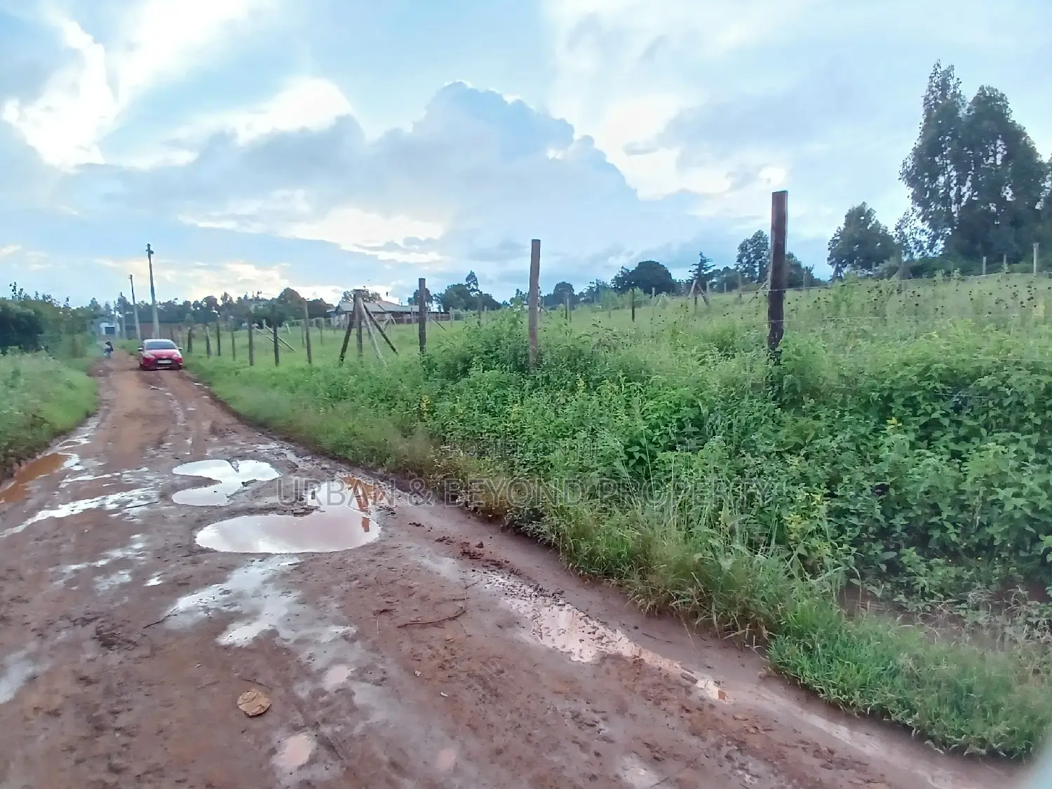 1/8 Acre Land Plots for Sale: 50 x 100 ft Dimensions in Kikuyu