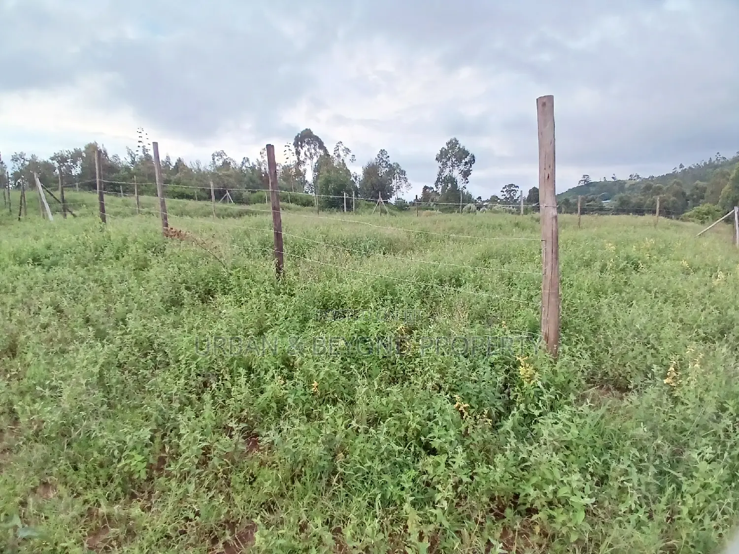 1/8 Acre Land Plots for Sale: 50 x 100 ft Dimensions in Kikuyu